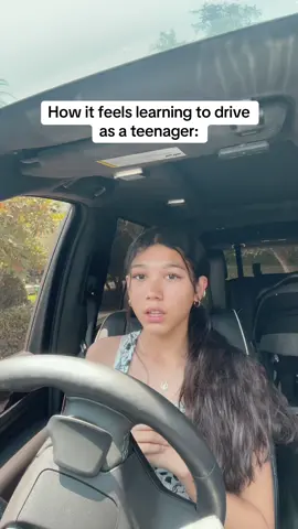 I'm a safe driver dw💀
