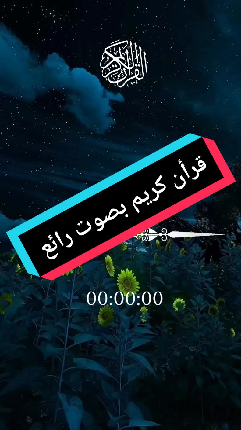 القران الكريم . تلاوة خاشعة. Paid Ads شراكة مدفوعة. #قران_كريم #تلاوة_خاشعة #paid_ads #paidads #quran_alkarim #tiktok #قران_كريم_ارح_سمعك_وقلبك #قوالب_كاب_كات