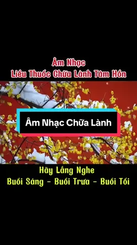 ✨Âm nhạc liều thuốc chữa lành tâm hồn. Hãy lắng nghe buổi sáng - buổi trưa - buổi tối để tinh thần thư thái hơn… #musica #nhachaymoingay #nhacco #nhachay #amnhac 
