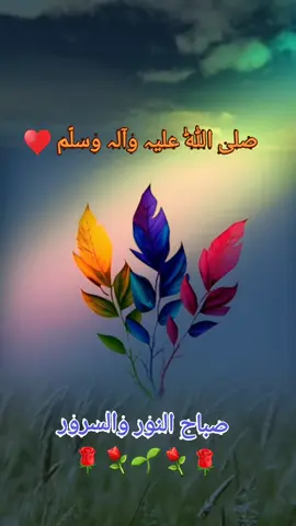 السلام علیکم  Good morning 🌄 