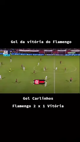 Flamengo 2 X 1 Vitória  #flamengo 