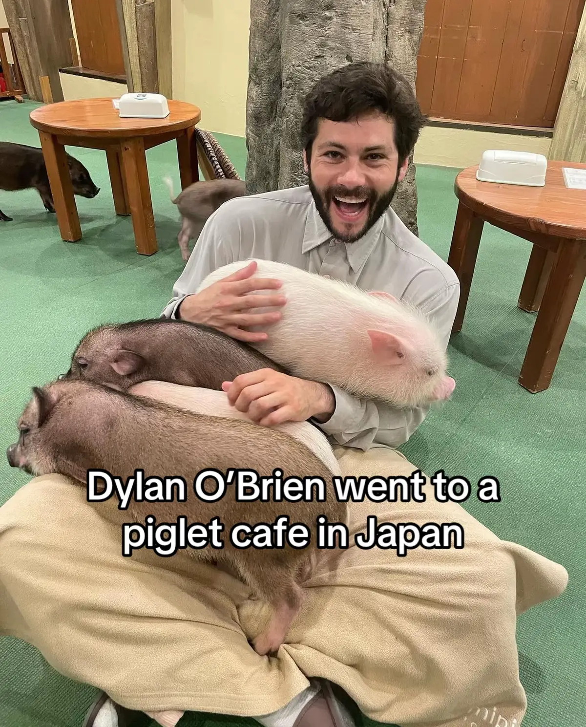 Anything Queen Dylan O’Brien says. Dylan O’Brien went to a piglet cafe in Japan and I realised I went to the same one! Only if it was the same day. #fangirl #dylanobrien #mazerunner #baby #animals #cutenessoverloaded #piglets #pigsoftiktok #japan #japantiktok #japantravel #todojapan #tokyo #babyanimals #babyanimalsoftiktok #babyanimalsvids #fy #foryoupage #viral #trending #mazerunner #teenwolf 