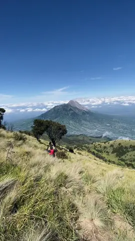 Merbabu emang secandu itu #mountain #Hiking #merbabuviaselo #merbabumountain #fyp #sabana 