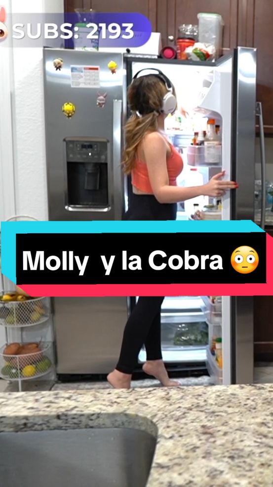 @Staryuuki no puede hablar con #lacobra 😳🥺 #staryuuki #staryuukiii #cristalmolly #lacobraaa #humor #streamer (Staryuuki en twitch)