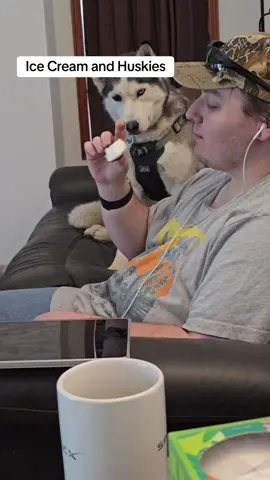 #icecreamaddicts #pupcupstories #huskylife #fyf #blueeye #mommafurbaby #huskydramatic #siberianhuskies #dogtoks #gottagofast 