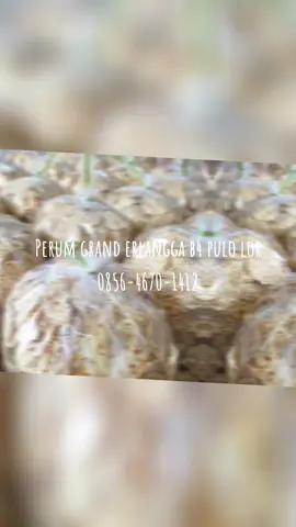 Tidak ada keranjang kuning. Order langsung wa 🫶🫶🫶#grosirsnackjombang 