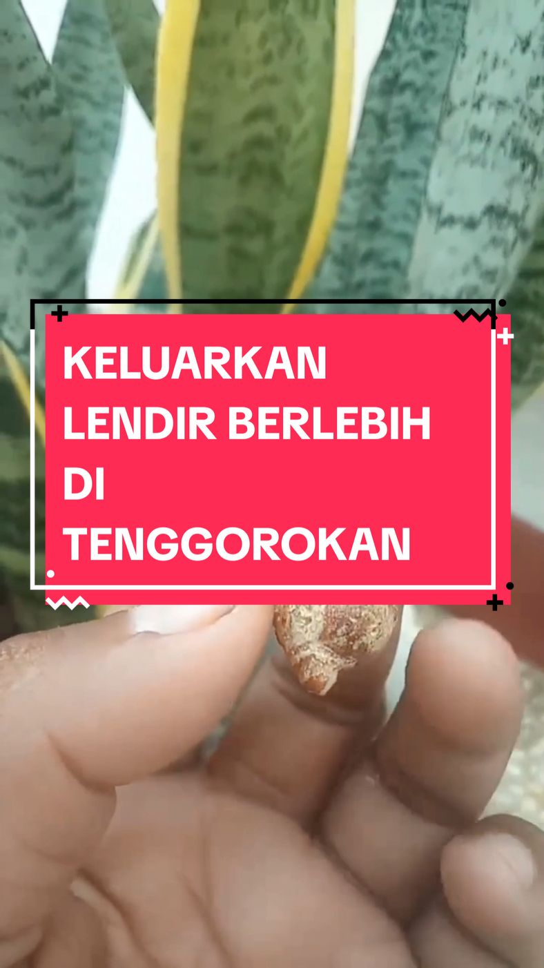 keluarkan lendir #lendir #lendirtenggorokan 