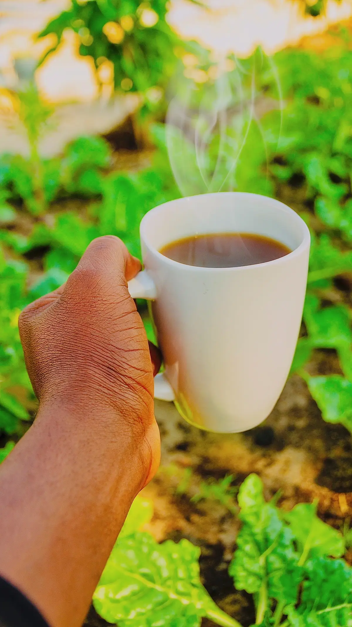 Teatime in the garden  #garden #tea  #time #gardening #vegetablegarden #organicgarden #fyp #namibiantiktoker🇳🇦 