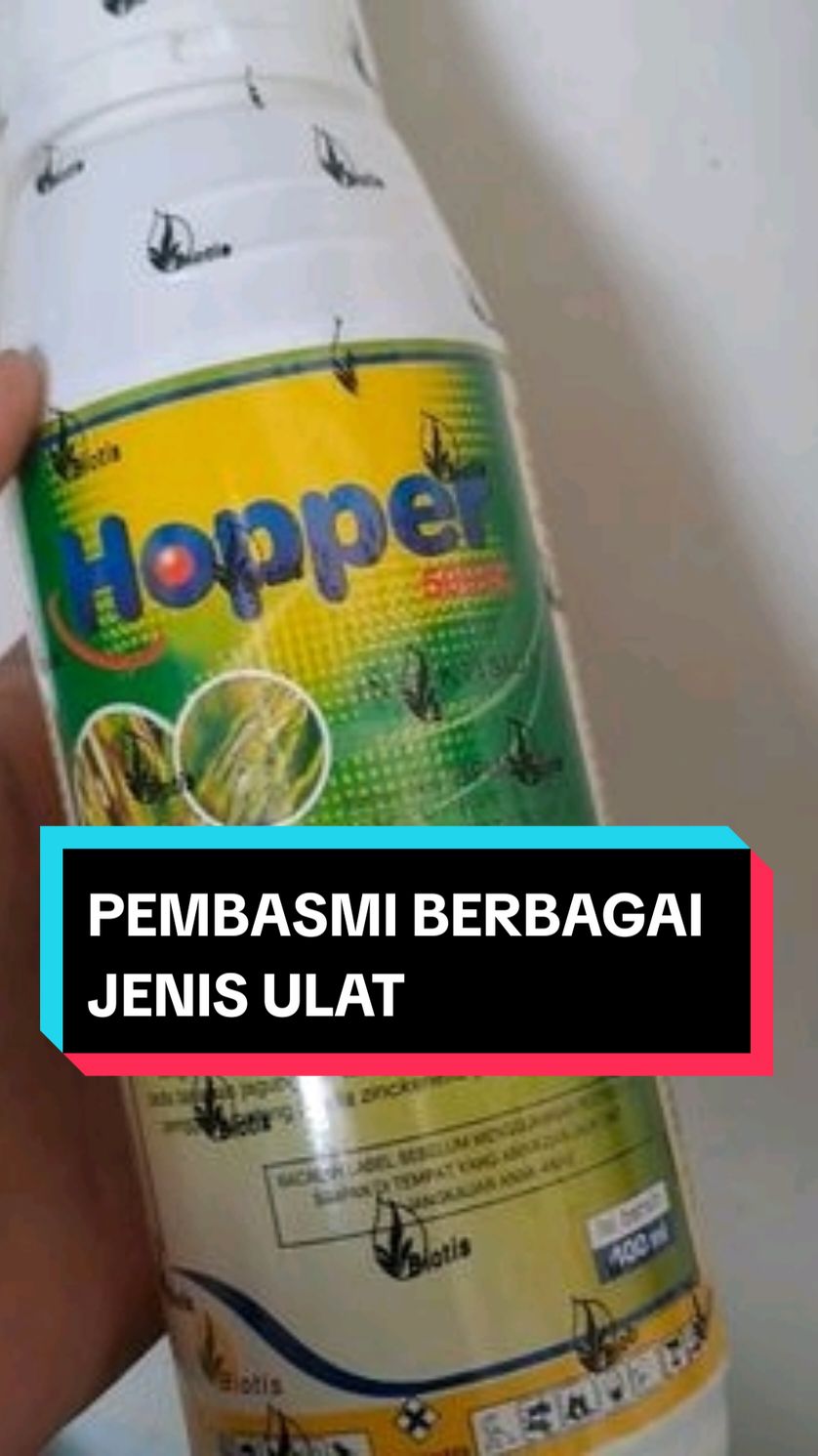 #petanimuda #promoguncang88 #petaniindonesia🇮🇩🇮🇩🇮🇩🌿🌿 #jaminanhargaterbaik #pusattanaman 