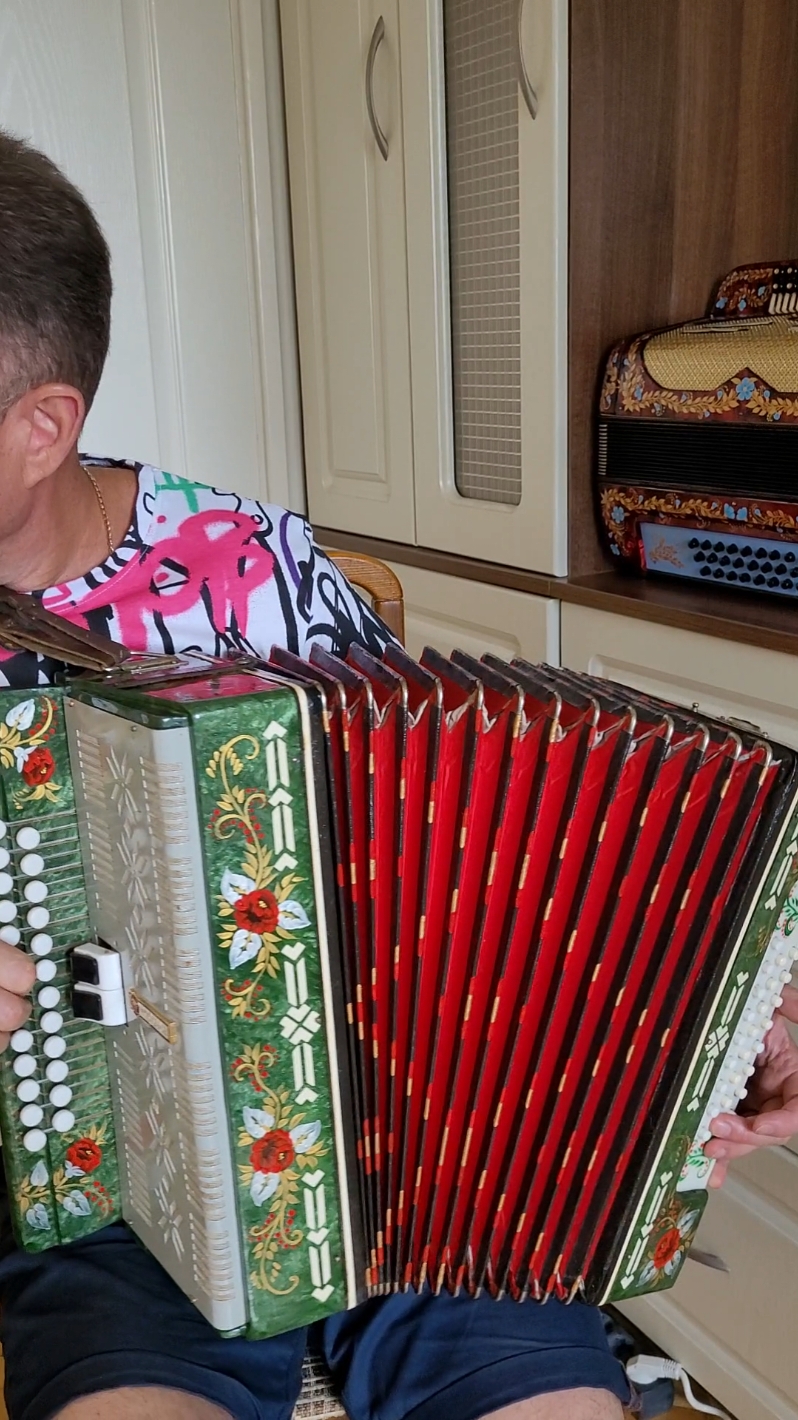 4х голосая гармонь #harmonica #играйгармонь #accordion #гармонь #harmonicasong #музыкадлядуши #гармошка #поюсдушой #игранагармошке #пашагармонист 