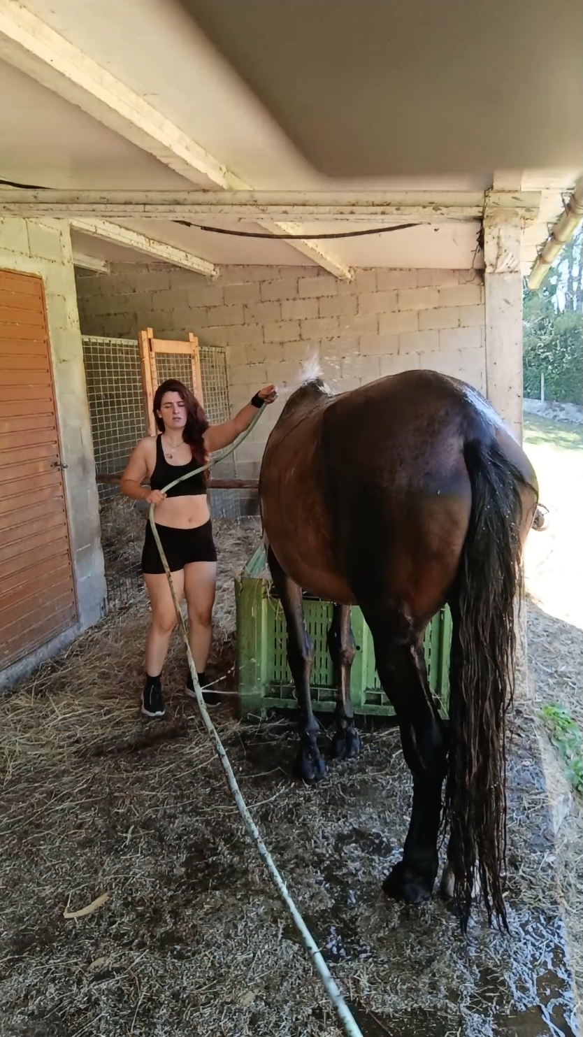 Rancho = trabajo, suciedad, cansancio, amor y felicidad ✨  #caballos #horse #caballo #rescue 