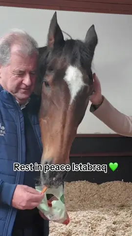 Rest in peace Istabraq 💚 #irishracing #horseracing #fyp 