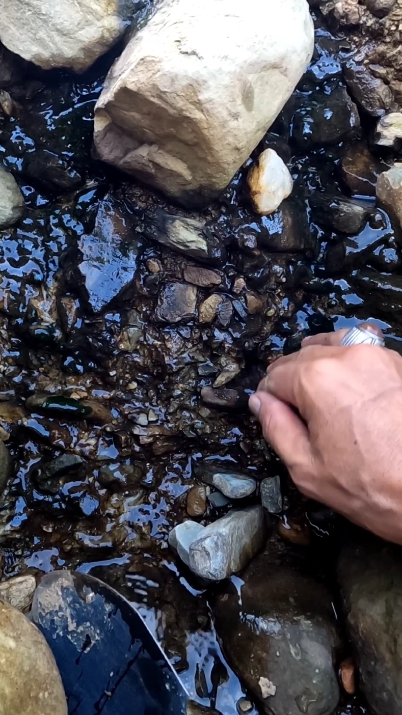 LOOKING FOR GOLD IN THE BLACK RIVER,,!!! 1 river of gold can have thousands of types of materials.., for example my location... the flowing water is black so that it causes the material to turn black from the outer skin to the inside... yes gold is indeed magical when we understand gold then we will get it.