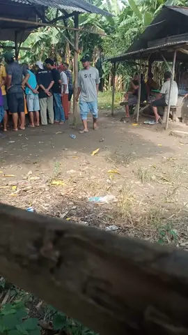 kita siapkan buat hari Minggu 😁😁