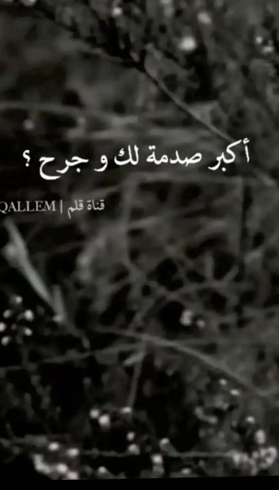 #الشيخ_بدر_المشاري #بدر_المشاري #fyp  #💔 #اكتب_شي_توجر_عليه#اللهم_صلي_على_نبينا_محمد #♥️ #capcut #fyp #اكسبلور #fyp 