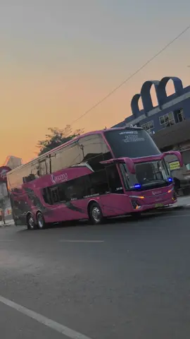 Pinky Mevvah🌷 #kencanaluxurybus #jetbus5sdd #doubledeckerbus 