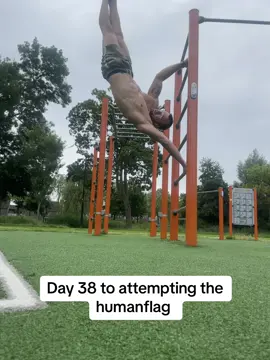Day 38 : the days counting, today was #pullday with  #frontlever and #backlever exercises . That wil be the next video 🔥 #motivation 