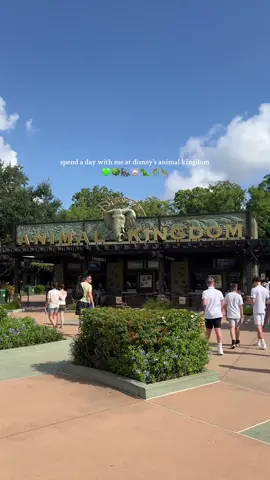 @Disney Animal Kingdom is definitely my favorite park! From the animals, to the scenery to food & drinks😍 @Disney Parks #disney #animalkingdom #ratethings #boba #avatar #disneyland #animals #drinks #macandcheese #themepark #foodreview #foryou #fypage #trending #viral #blackgirltiktok 