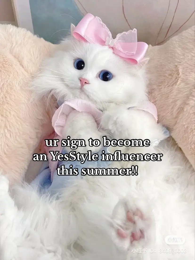 best decision ive made!! 💓 // #lufsmiral #fyp #viral #yesstyle #yesstylehaul #yesstyleinfluencers #influencers #cat #whitecat #commision #anua #beautyofjoseon #Summer #summervibes #freeproducts #kbeauty #koreanbeauty 