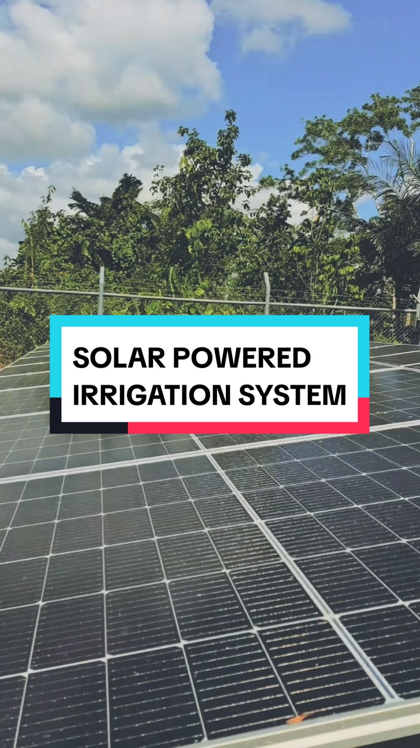 Solar Powered Irrigation System for  Corn Production☀️💦🌽 #paulniwre #solar #solarpower #irrigation #onlyforyou #viral #farm #fyp #engagement #agriculture #agriculturalandbiosystemsengineering 