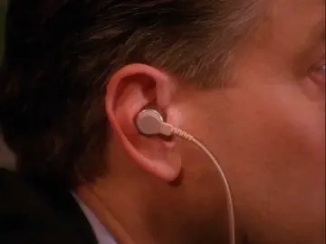 A small Mexican chi wow wow #foryou #corecore #twinpeaks #lobotomy #davidlynch #kylemaclachlan 