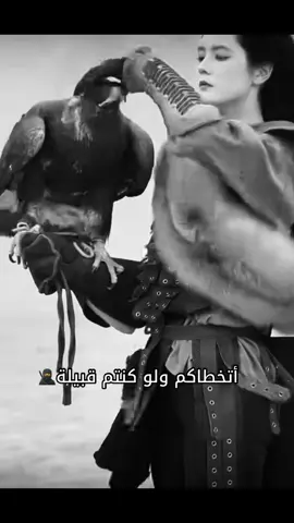 #أتخطاكم_لو_كنتو_قبيلة_بنت_الصقر_ياكبدي🦅😌 #ابداع_هاتان🖤🍂 #جريئة_بدون_حدود #إبداع_البـروفيسـور✍️👑 #تصميمي #fypシ゚viral #fypシ #توماس_شلبي🚬🔥 #مَلكِه_الفخامـه #كبرياء_انثى🖤🦋 #شلبية_عنيدة😎🖤🎻 #اكسبلورexplore 