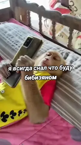 [🍌]-дооо) #банан #бибизян #бибизянки #люблюобезьян #актив #рап #тюлень #комару #шлёпа #тикток 