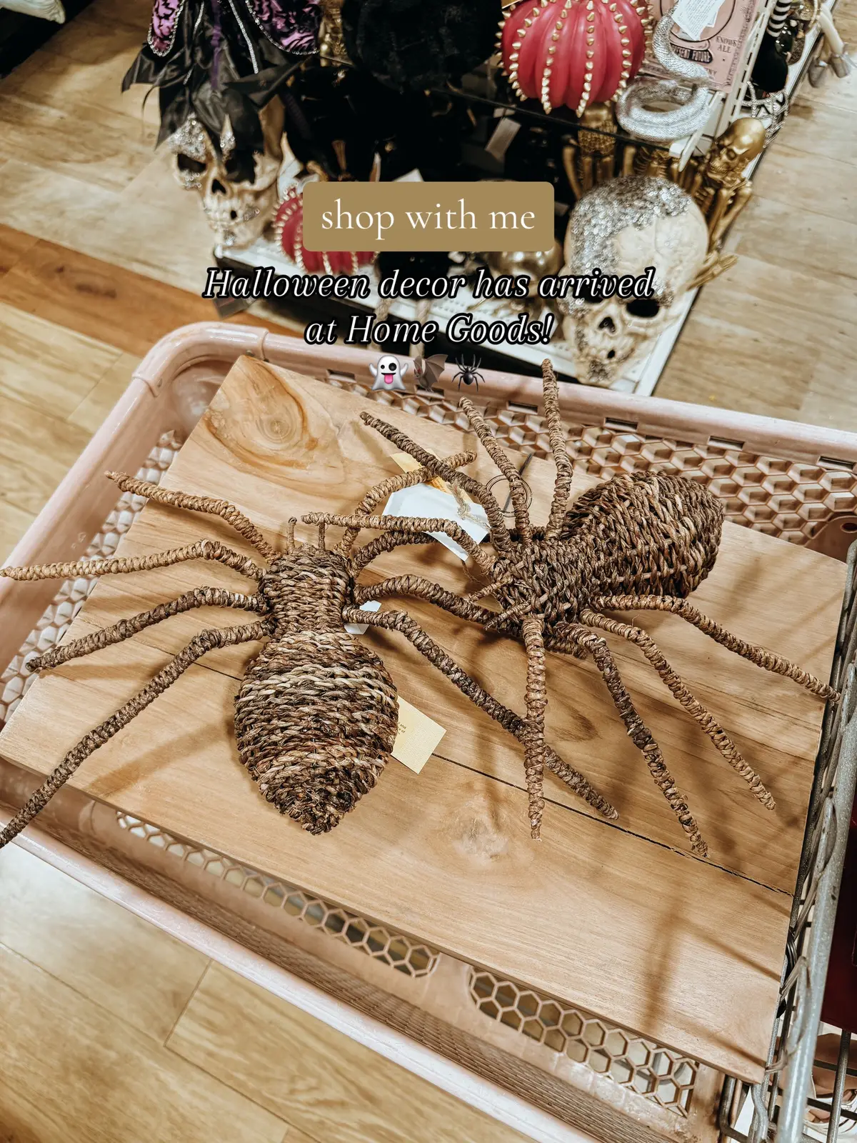 We are still enjoying summer over here but I went to Home Goods the other day and had to show you all of these amazing goodies I saw. So many Pottery Barn, McGee & Co. and Anthropologie dupes! Which was your favorite?  #halloweendecor #halloween2024 #summerween #homedecor #homegoodsfinds 