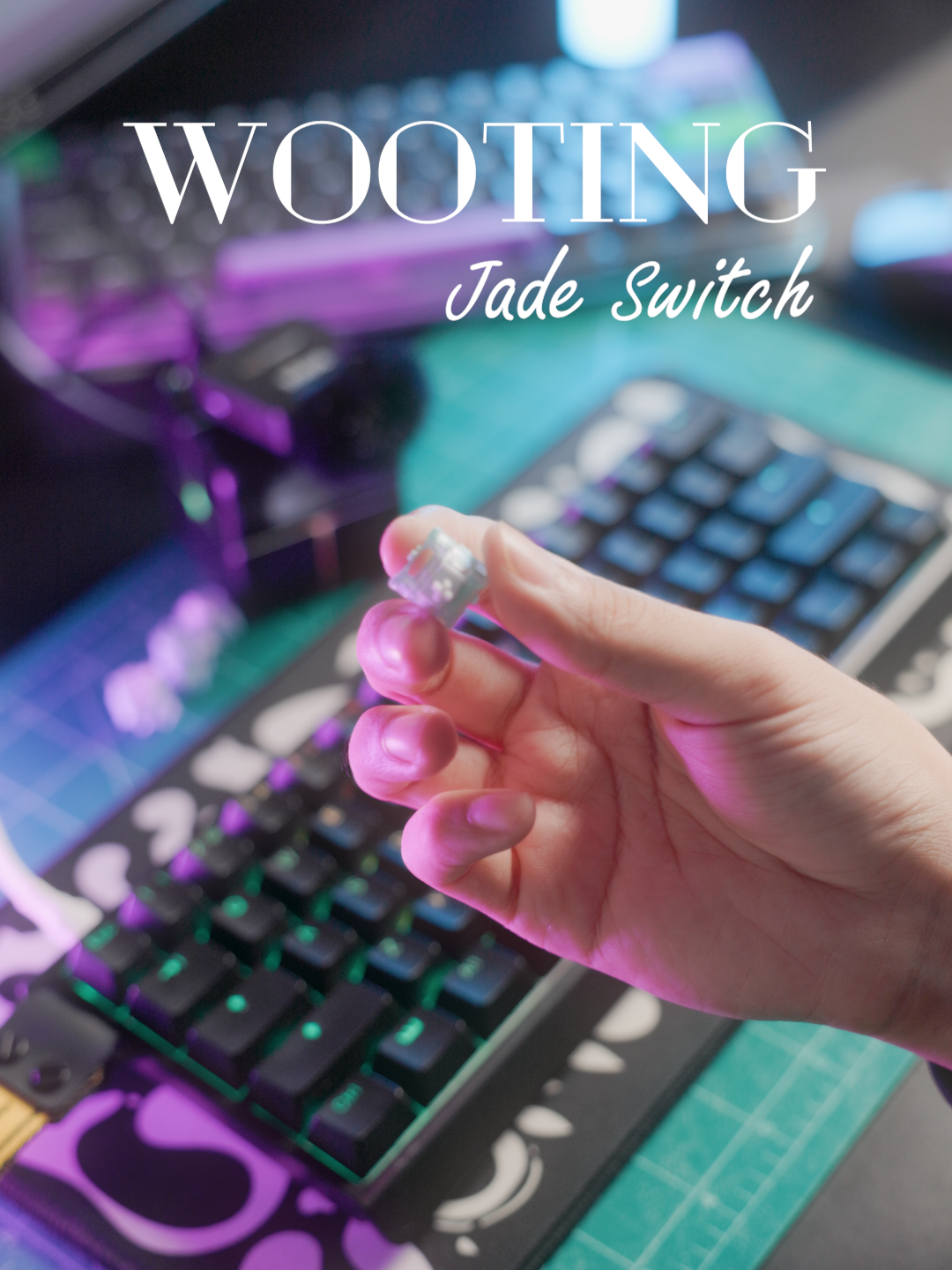 Wooting 60HE+ w/ Gateron magnetic jade switch is so THOCK!? #keyboard #keycaps #keyboardasmr #fyp #fypシ゚ #customkeyboard #asmrvideo #customkeyboard #gaming #ของใช้ในบ้าน #ฟีดดดシ #มาแรงในtiktok #ASMR #tiktokไอที #gadget#NEEDBRAKETIME #NBT