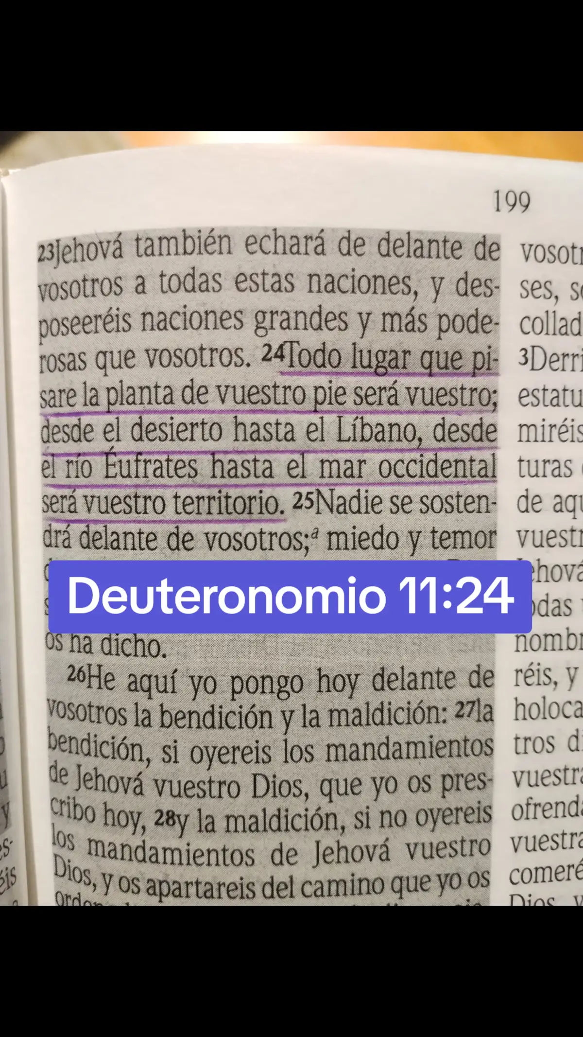 #versiculosbiblicos #frasescristianas #tiktokcristiano #hagamosviralajesus #textosbiblicos #yourpage #yfpシ #parati #❤️ 