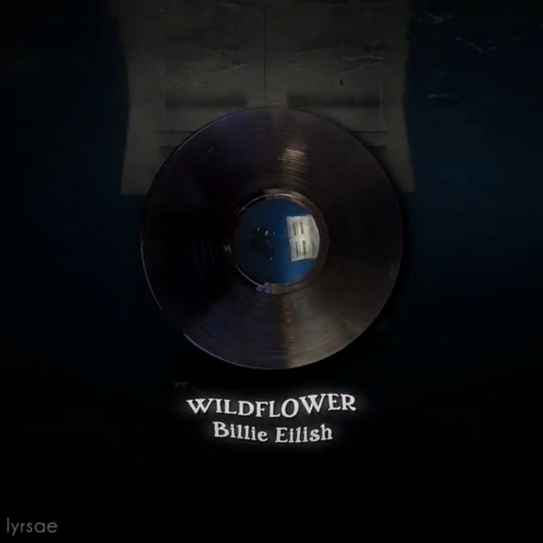 WILDFLOWER - Billie Eilish | #edit #aftereffects #billieeilish #lyrics #lyricsvideo #fyp #aftereffects #songedit #song 