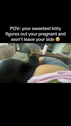 Nothing has melted me like this moment 🥹 #pregnanttok #pregnancytiktok #carsoftiktok #babybump #babyontheway #newmom #kittiesoftiktok #27weekspregnant 