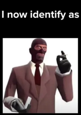 I am now invisible #invisible #fyp #funny #pronouns #tf2 #tf2memes #foryoupage
