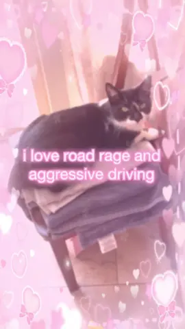 i love road rage💕🫶😡 #cat #cats #catmeme #catmemes #funnycat #funnycats #cattok #fyp 