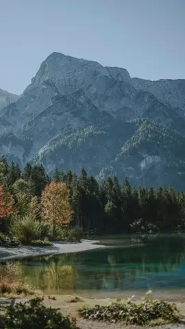 قال تعالى : { إِنَّ اللَّهَ وَمَلَائِكَتَهُ يُصَلُّونَ عَلَى النَّبِيِّ يَاأَيُّهَا الَّذِينَ آمَنُوا صَلُّوا عَلَيْهِ وَسَلِّمُوا تَسْلِيمًا }   #سورة_الأحزاب ٥٦  #تطبيق_وحي #يوم_الجمعه #قرآن #الصلاة_على_النبى #صلاح_بوخاطر
