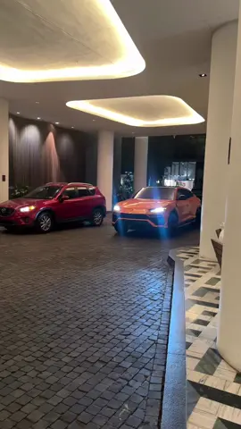 New lamb truck goes crazy