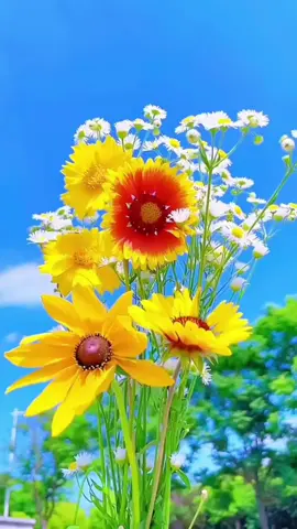 #buenosdias #felizfindesemana #feliz #viernes #Lucy #bendicionesparatodos 