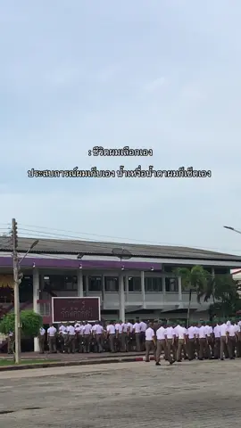 #ตํารวจ #นสต15 #เทรนด์วันนี้ #บชน #นครบาล #เธรดความรู้สึก #fyp  