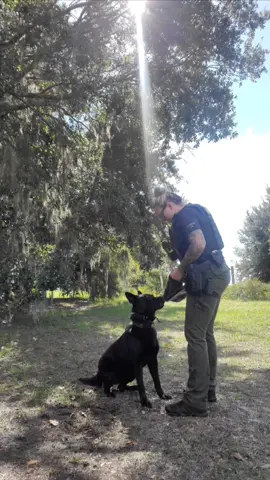 #sheriffdeputy #k9softiktok #k9unit #blueline #bluelinefamily #femalcops #femalecopsoftiktok #fyp #foryou #foryoupage 