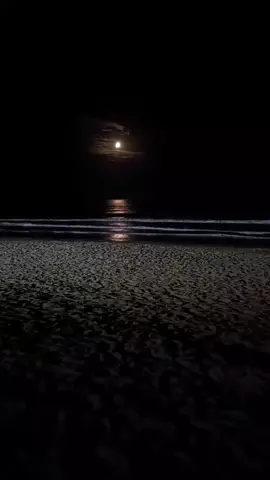 playita de noche en Mollendo ... #ricachamba💪😎😇 #elreydelasalturas🏗️ #todopprmishijos 