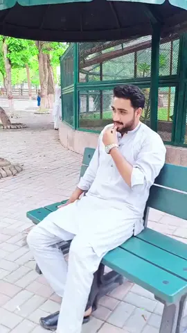 A Day In Lahore Zoo ))) #foryou #viraltiktok #fypシ゚viral 