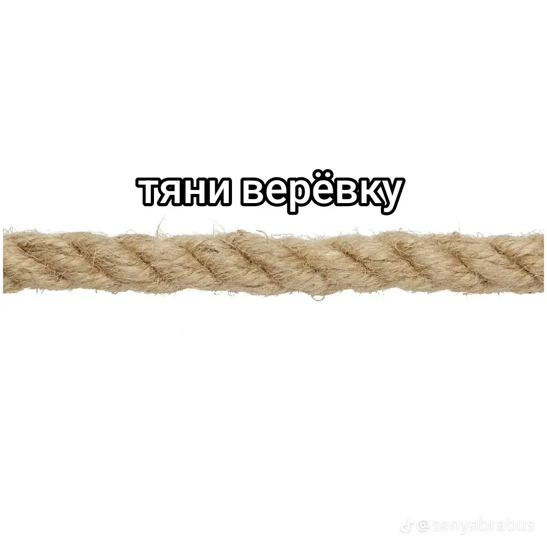 Спасибо всем за актив #рекомендации #лещ #окунь #рыбалка #природа #рыбалка #озеро 