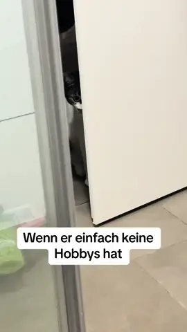 #tommy_derkater #cats #catsoftiktok #catslovers #catsvideo #catstagram #catsmoves #cat #katze #katzen #katzenvideos #katzenliebe #katzenauftiktok #funnycats #funny #funnyvideo #funnymoments #funnytiktok #fy #fypシ #fypシ゚viral #fypage #fyppppppppppppppppppppppp #vira #viralvideo #viralvideo #viraltiktok #virall #viral_video #viralvideosofficial  #ideen #instergram #booster #fürDich 