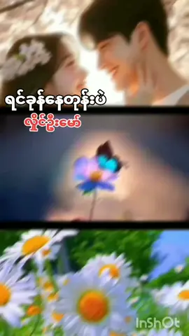 #ရင်ခုန်နေတုန်း ပဲ #တေးဆို # လှိုင်ဦးမော် #ရင်ထဲမှာ အချစ်က # တစ်ယောက် တည်းကို ချစ်တာ #အို မင်းလေး နား လည် နေမှာ လား #MyanmarSong # #ForYou #ForYourPage #fyp # #tiktok2024 