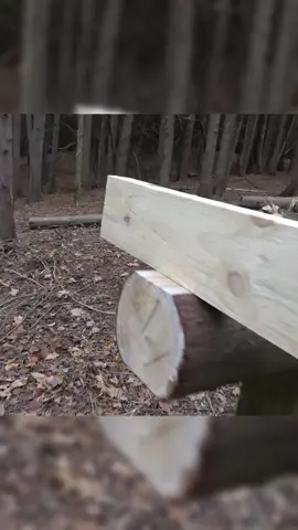 PART 1 - BUILDING a Small Cabin in the FOREST #bushcraft #build #camp #camping #survival #shelter #wildlife #Outdoors #outdoor #viral #foryou