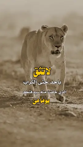 لاتثق🖐👌#عبارات_عابر #كسبلور_explor 