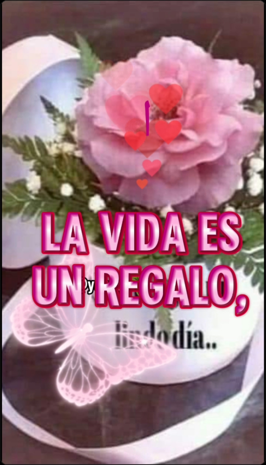 Buenos Días recibe mi primer saludo,te deseo un maravilloso Viernes lleno de muchas bendiciones en donde no falte ser feliz  #CapCut  #arroyito #fonseca #buenosdias  #felizviernes  #parati 