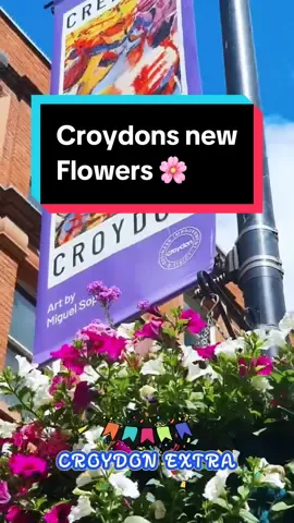 We're excited to share the installation of 122 new hanging baskets in #Croydon Town Centre! Adorned with Surfinia Purple, Surfinia White, Ivy Leaf Lilac, and Verbena Venosa, they add a splash colour to our urban landscape. #croydonextra #flowers #Summer 