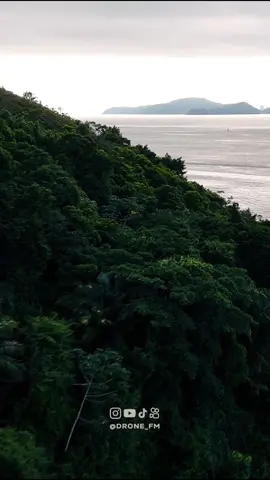 Ilha de Palmas  Um lugar incrível na Baixada Santista  #ilha #dronevideo #ilhadepalmas #santos #guaruja 