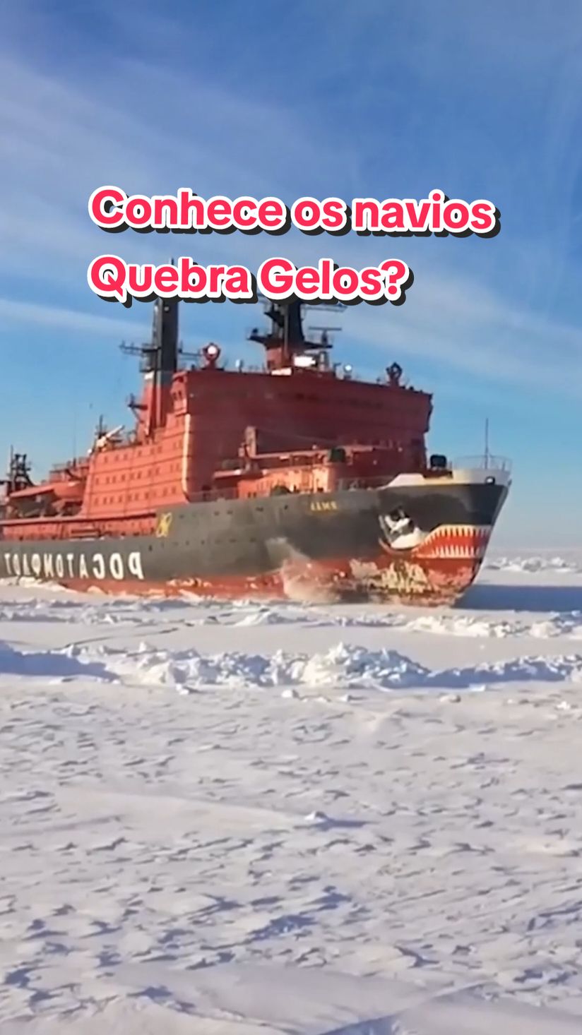 Conhece os Navios Quebra Gelos? #curiosidades #antartica #navio #tecnologia #gelo #frio #inferno 